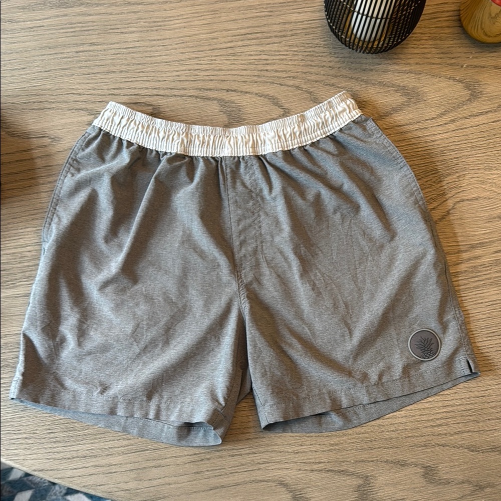 Chubbies Men’s S contrast waist gym/swim, hybrid Men's Shorts